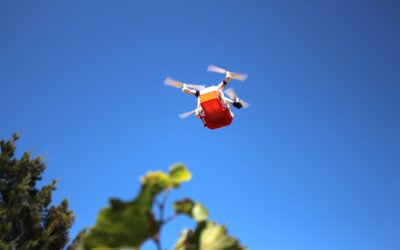 Drones deliver predator bugs pest control at Vergelegen
