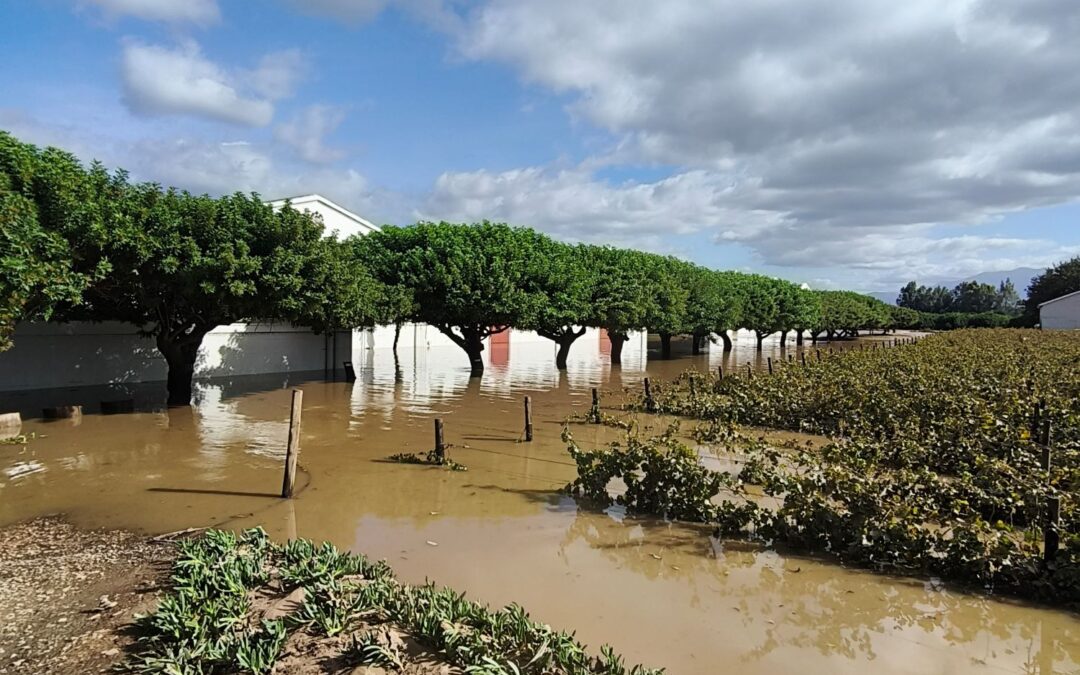 Severe floods impact Van Loveren again