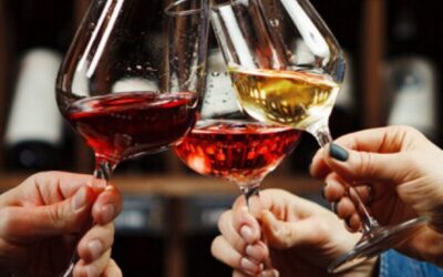 Don’t miss Wine Concepts Grape Escape Festival on 11 June