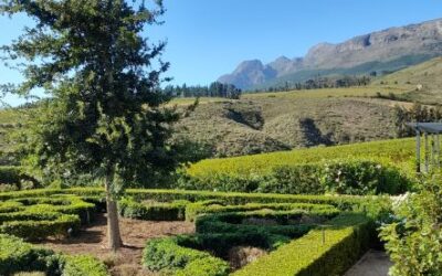 Brookdale serves up The Great Turnabout Winemaker’s Dinner – 27 August
